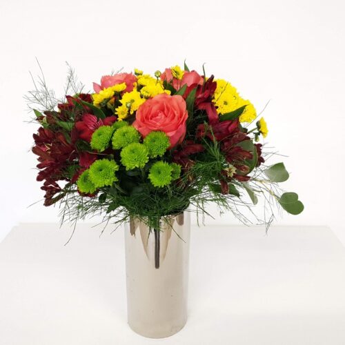 Segakimp "Värvide mäng"