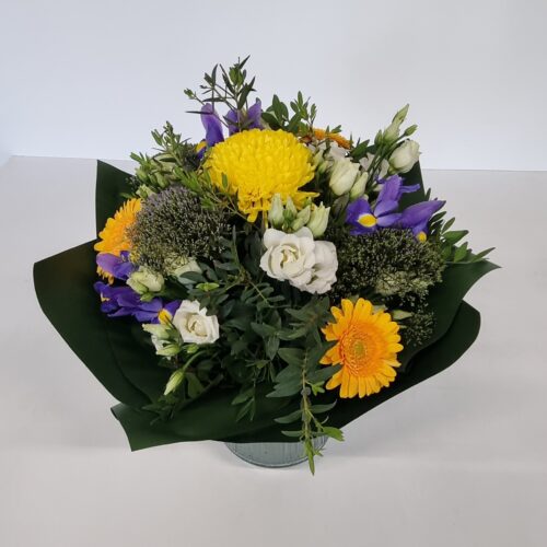 Segakimp "Silmatera"