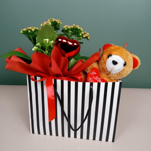 Kalanhoe kaisukaruga