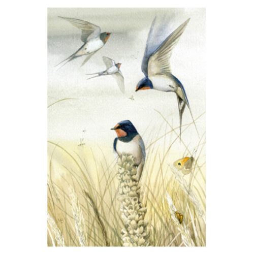 Õnnitluskaart "Pääsukesed"