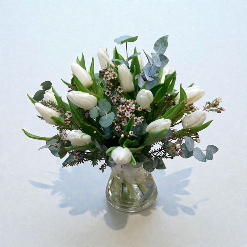 Tulbikimp "Põhjala valgus" Tulbikimp "Põhjala valgus"