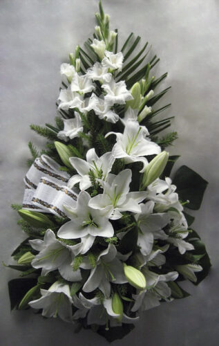 Leinaseaded Leinaseaded